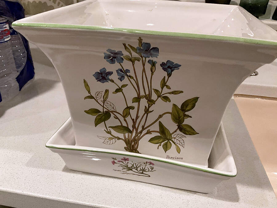 BNA10 6" Flower Pot & Underplate by Bernarda-1