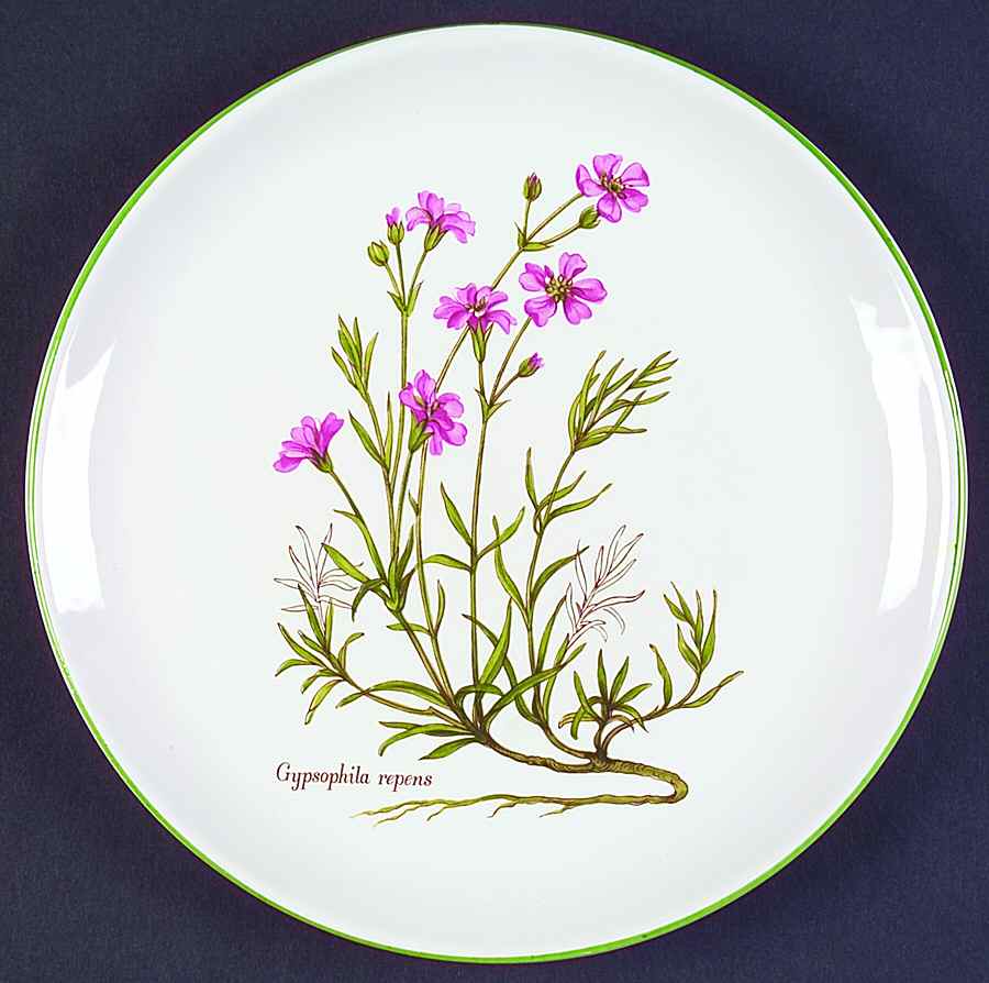 BNA10 Salad Plate by Bernarda-1