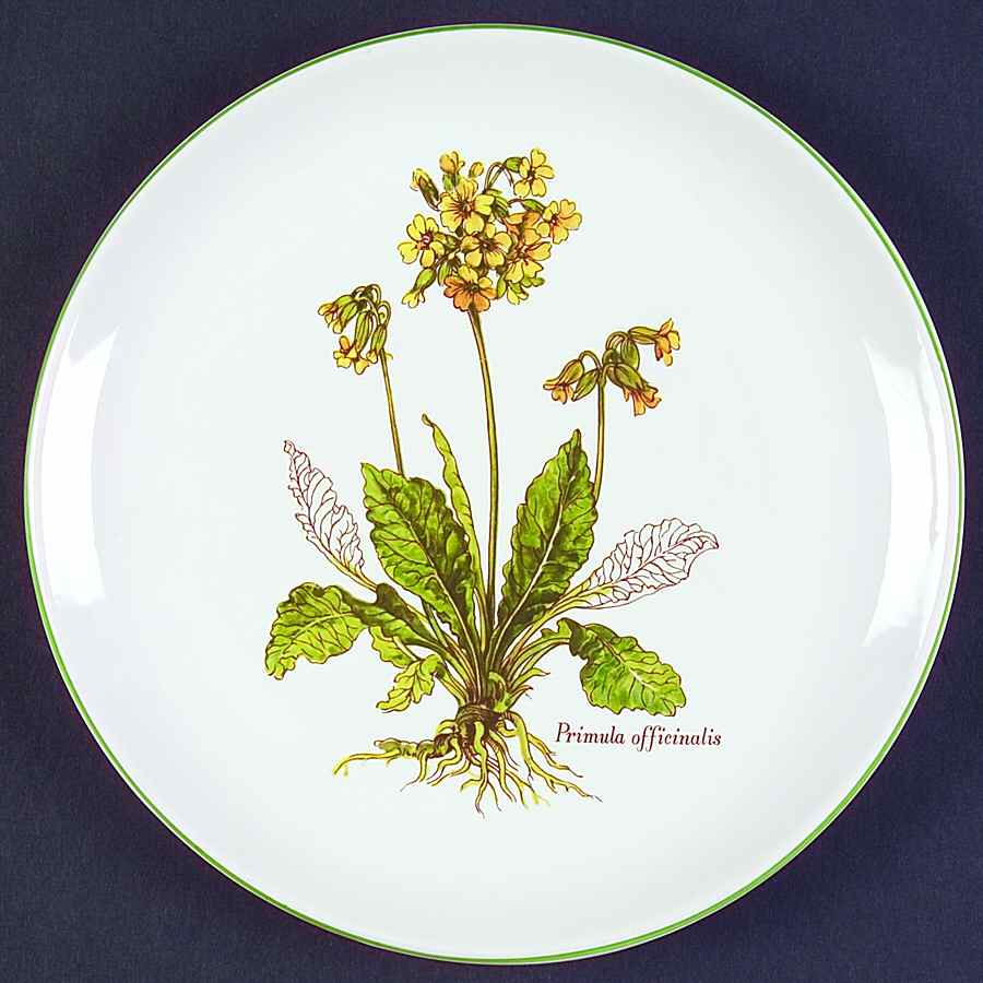 BNA10 Salad Plate by Bernarda-1