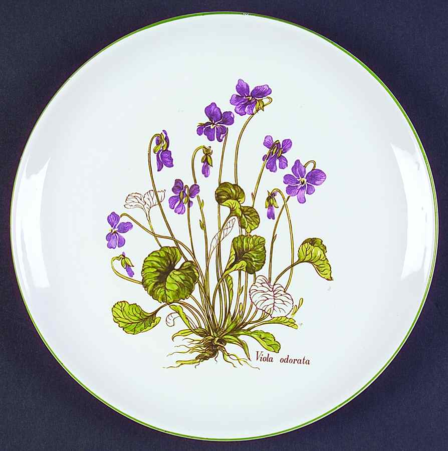 BNA10 Salad Plate by Bernarda-1