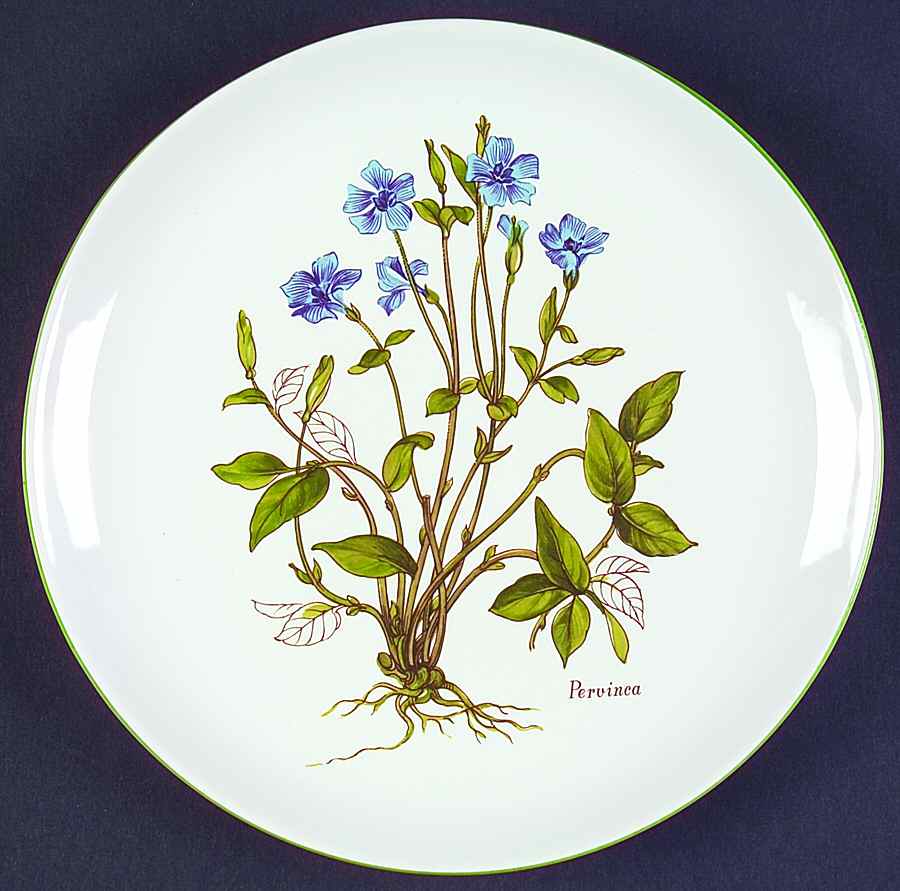 BNA10 Salad Plate by Bernarda-1