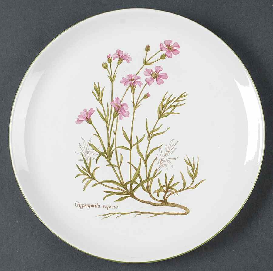 BNA10 Dinner Plate by Bernarda-1