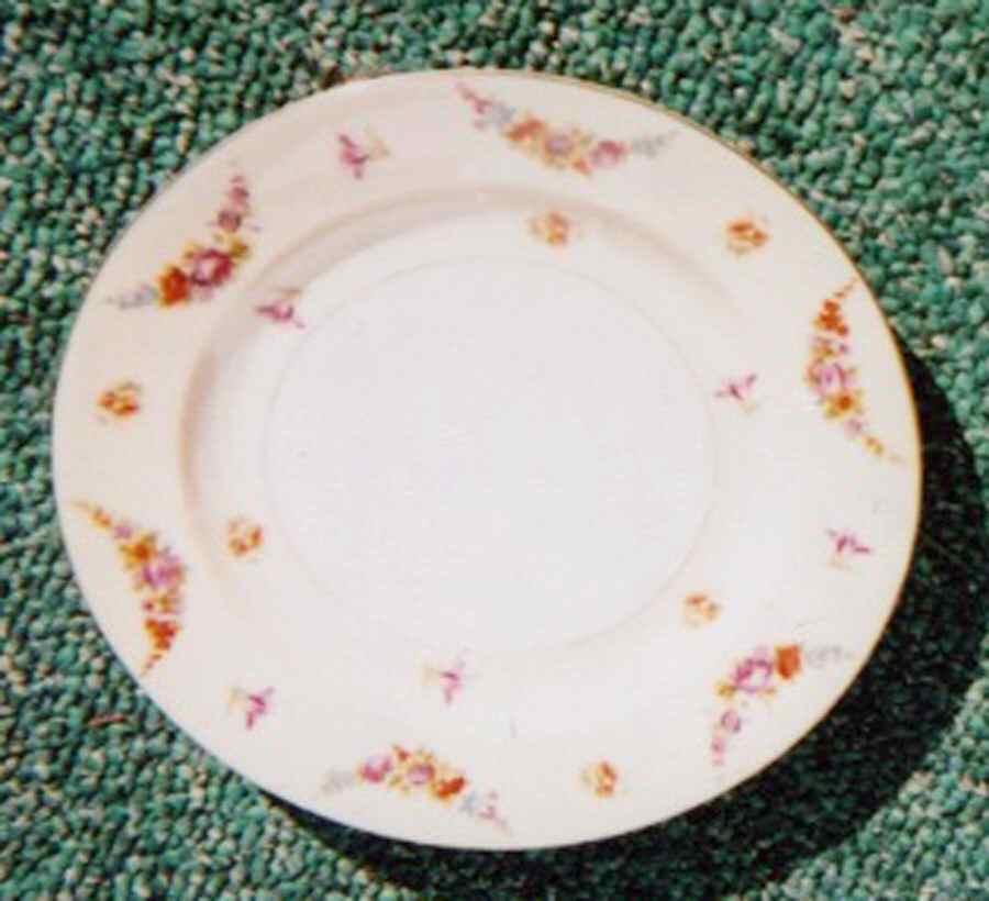 BAV313 Dinner Plate by Bavaria-1