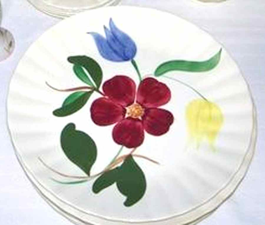 Variety Dinner Plate by Blue Ridge Southern Pottery-1