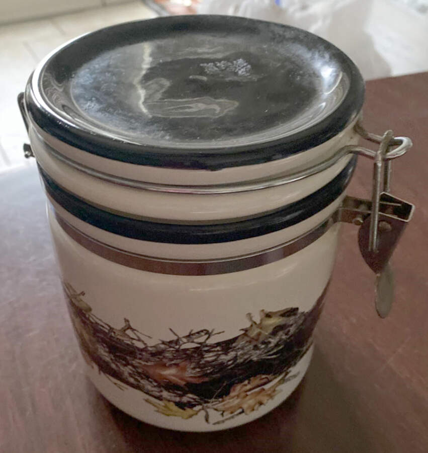 Mossy Oak Medium Canister with Hinged Lid by Bass Pro Shops-1
