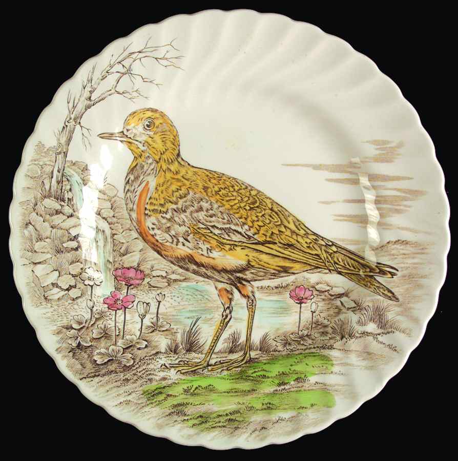 Wild Birds of Heath & Moorland Dinner Plate by British Anchor-1