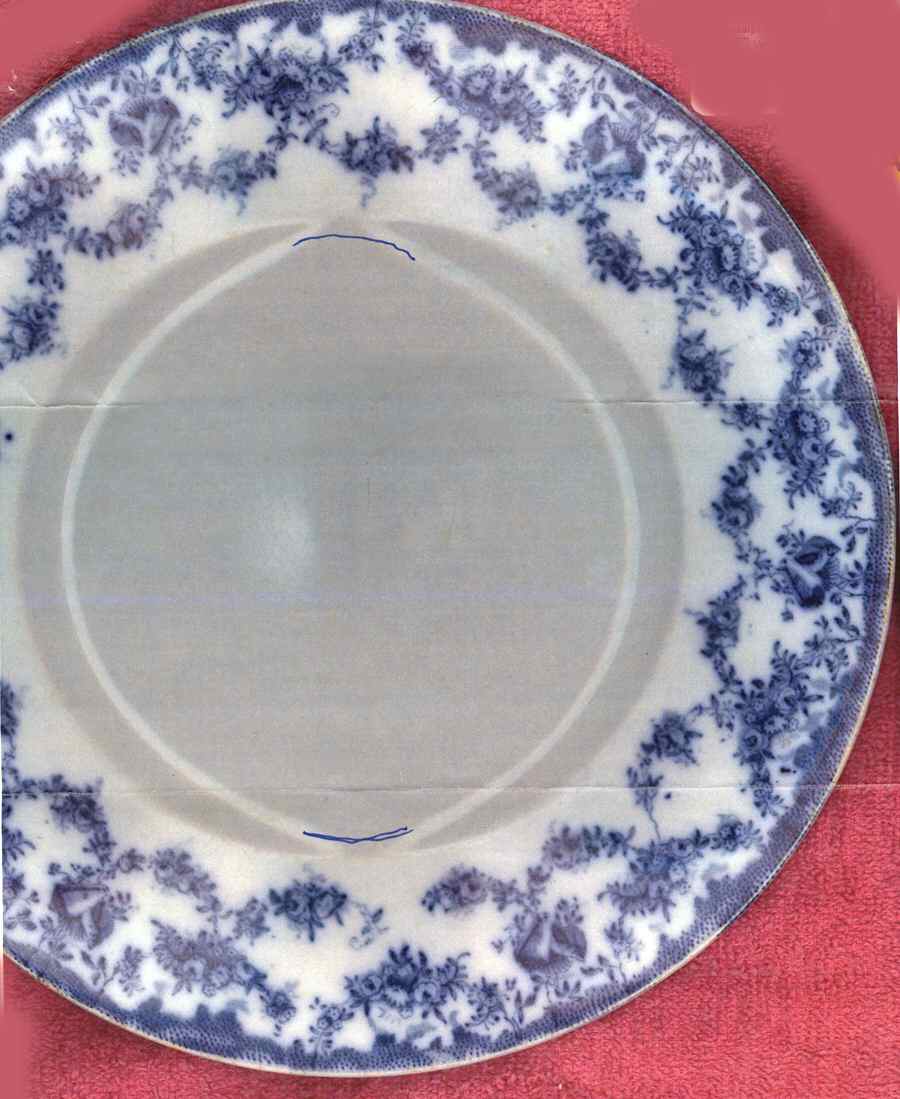 BIS32 Dinner Plate by Bishop & Stonier-1