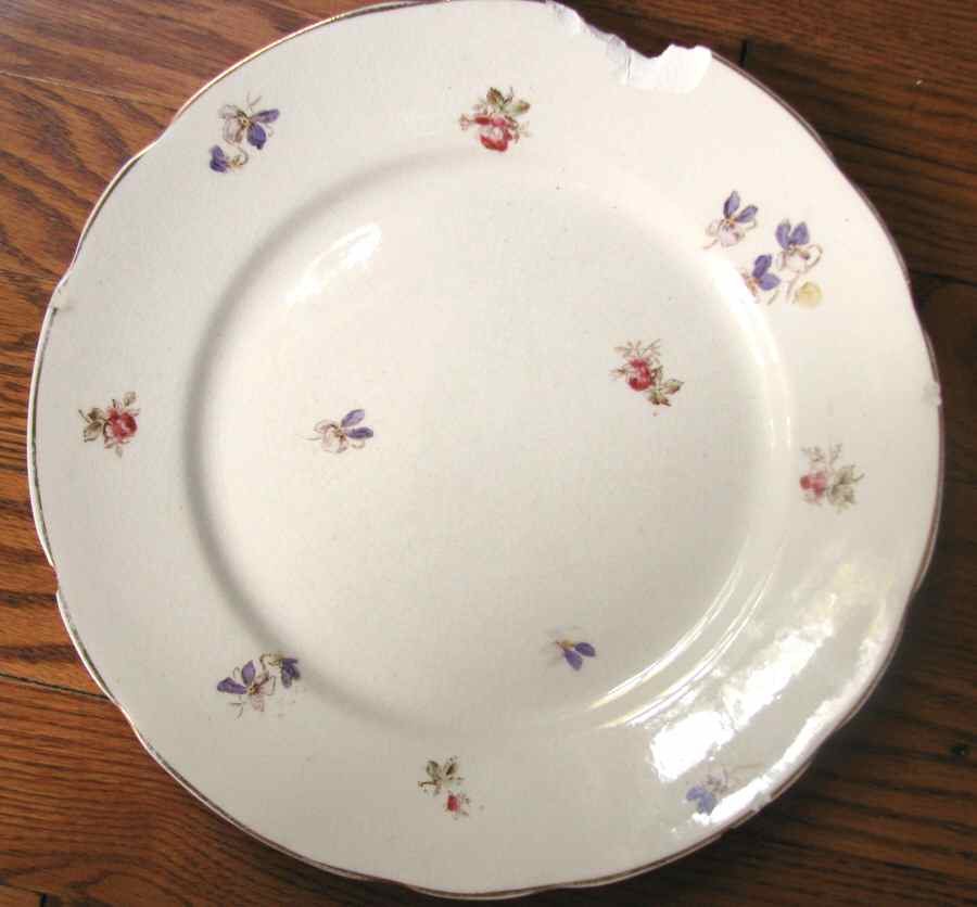 BOT6 Dinner Plate by T & R Boote-1