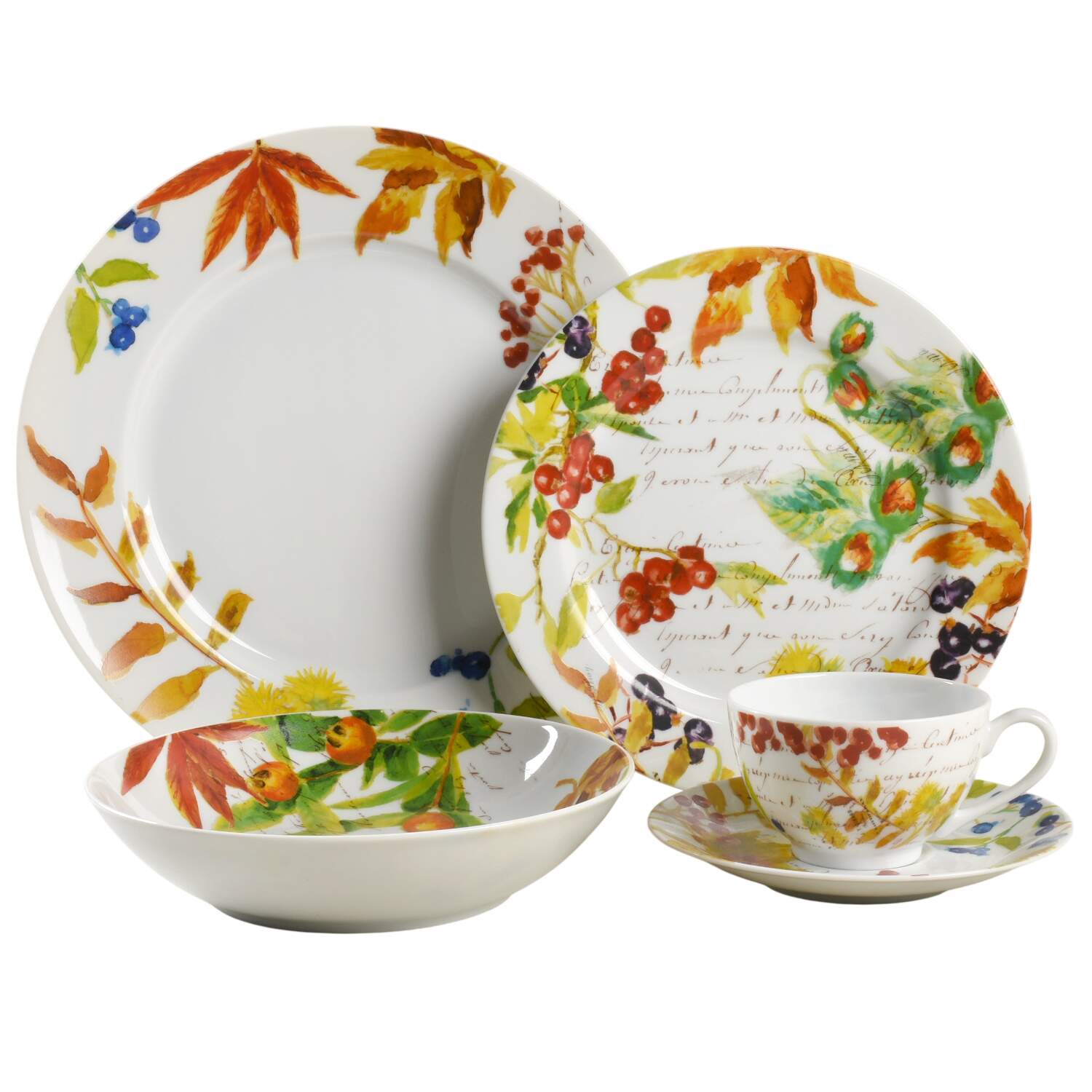 Harvest Berry 5 Piece Place Setting by Bernardaud-1