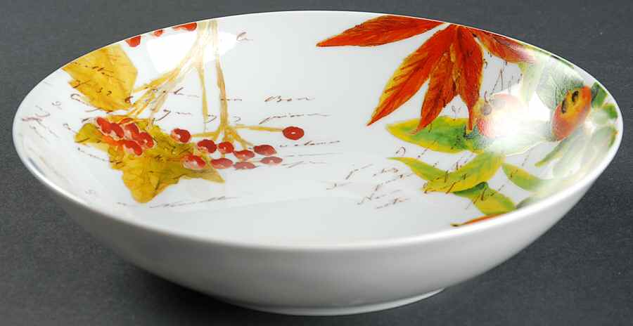 Harvest Berry Soup/Cereal Bowl by Bernardaud-1