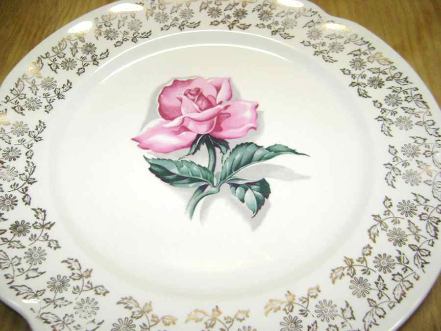Royal Rose Dinner Plate by British Empire Ware-1