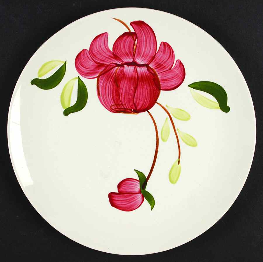 BRP142 Dinner Plate by Blue Ridge Southern Pottery-1