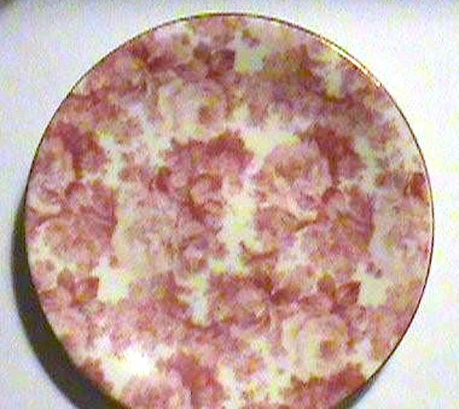 BAU66 Saucer by Baum Brothers-1