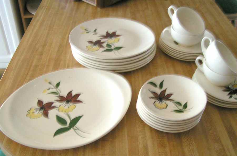 Orchird Dinner Plate by Blue Ridge Southern Pottery-1