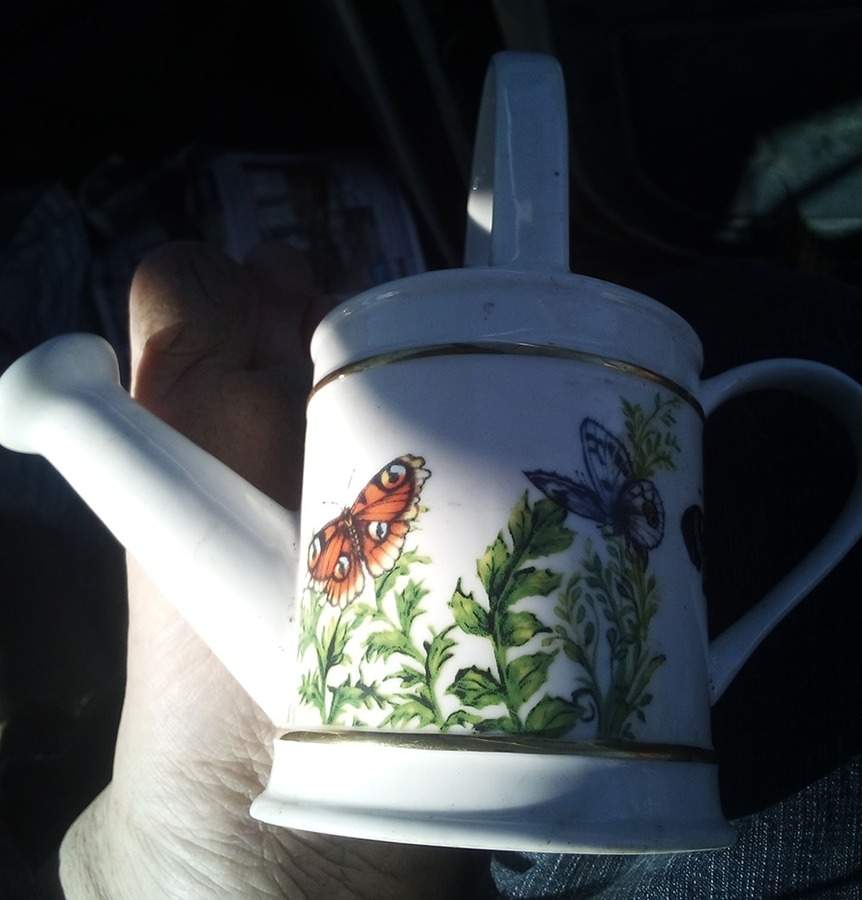 Wings of Grace Water Can by Burton & Burton-1