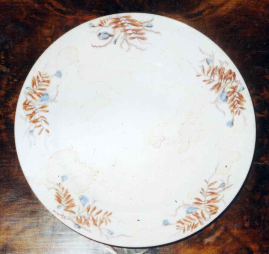 BBD6 Luncheon Plate by BBD-Karlsbad-1