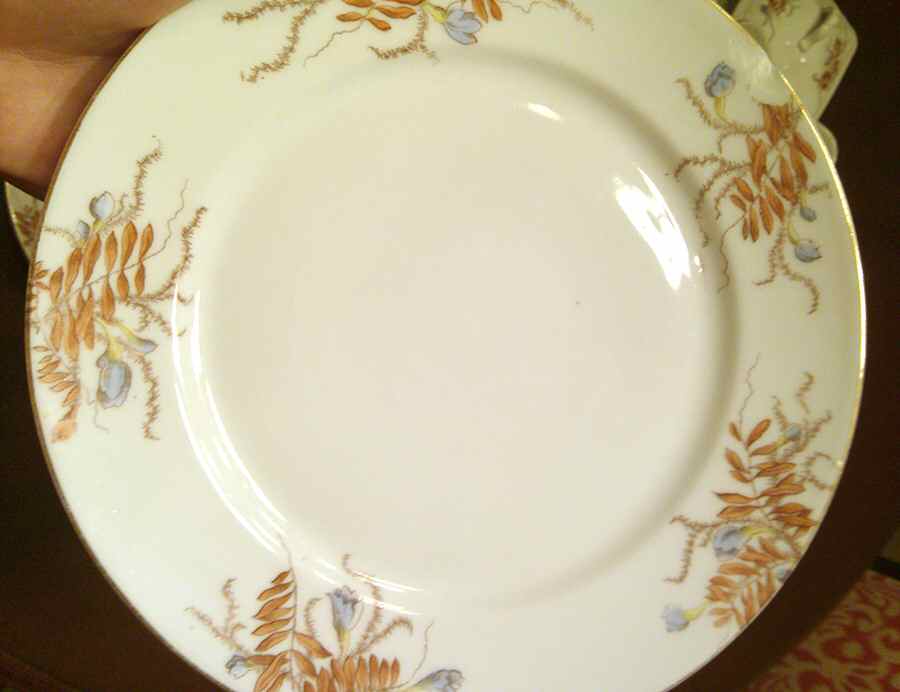 BBD6 Dinner Plate by BBD-Karlsbad-1