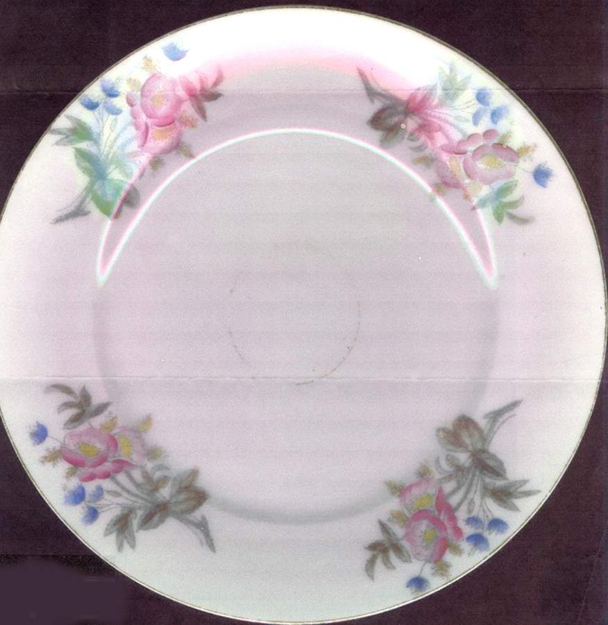 BWD798 Luncheon Plate by Bawo & Dotter-1