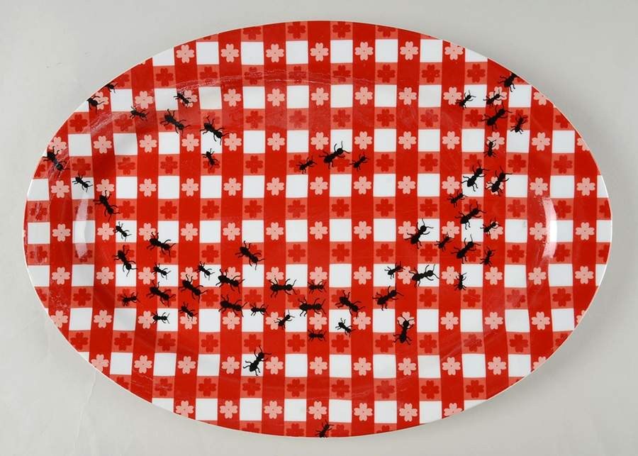 Thrill of the Grill (Ants) 16" Oval Serving Platter by Boston Warehouse-1