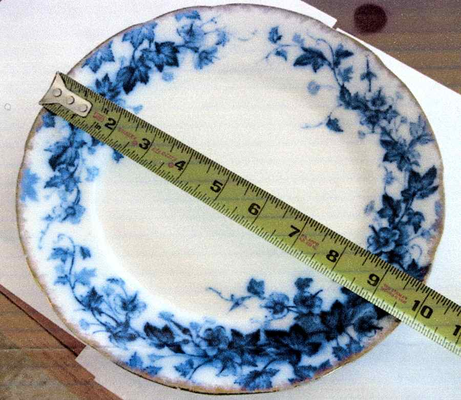 Cranesbill Dinner Plate by Burgess & Leigh-1