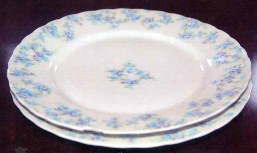 BWD631 Dinner Plate by Bawo & Dotter-1