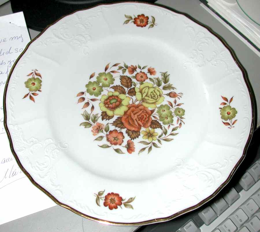 Orion Dinner Plate by Thun-1