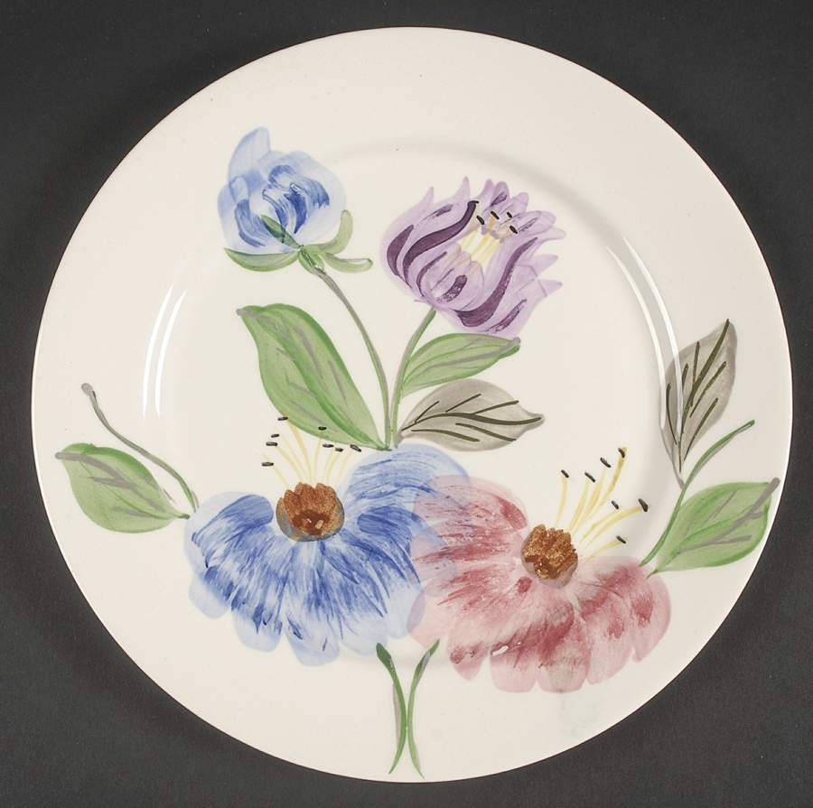 Shenandoah (Clinchfield) Dinner Plate by Blue Ridge Southern Pottery-1