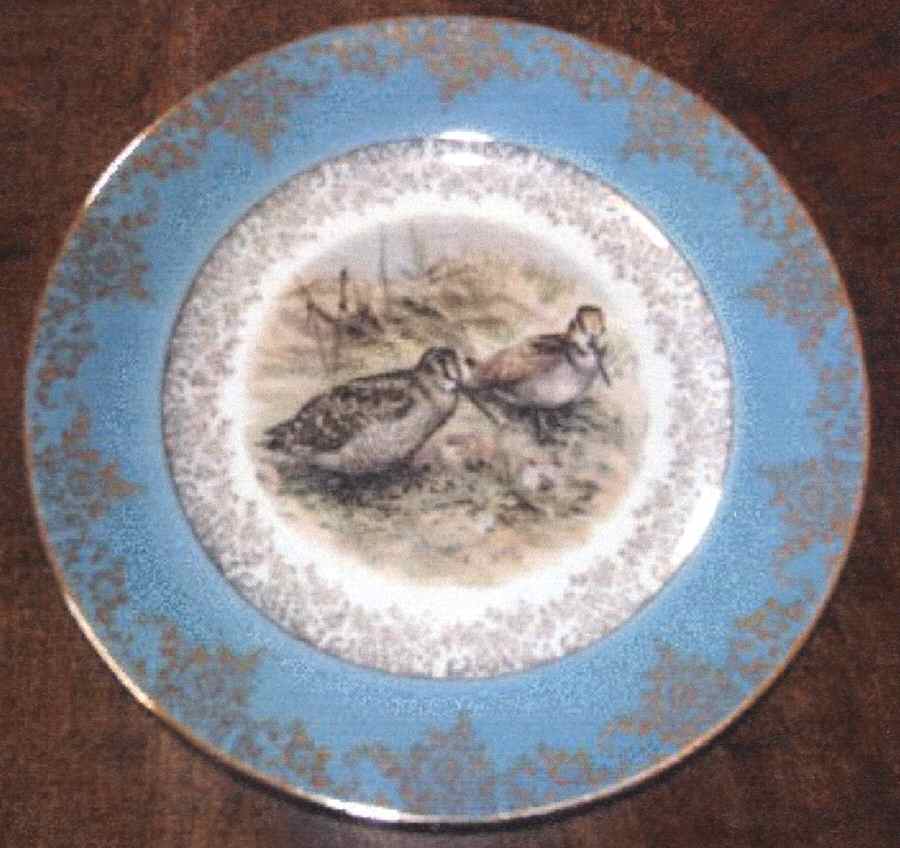 BAV371 Dinner Plate by Bavaria-1