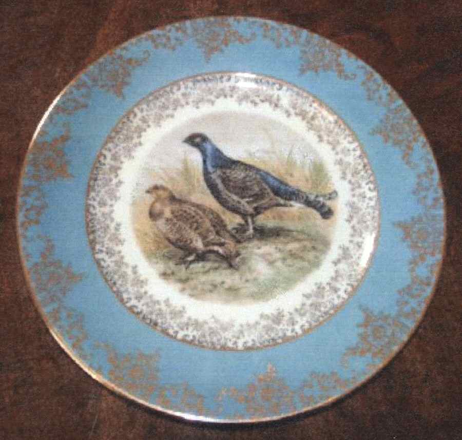 BAV371 Dinner Plate by Bavaria-1