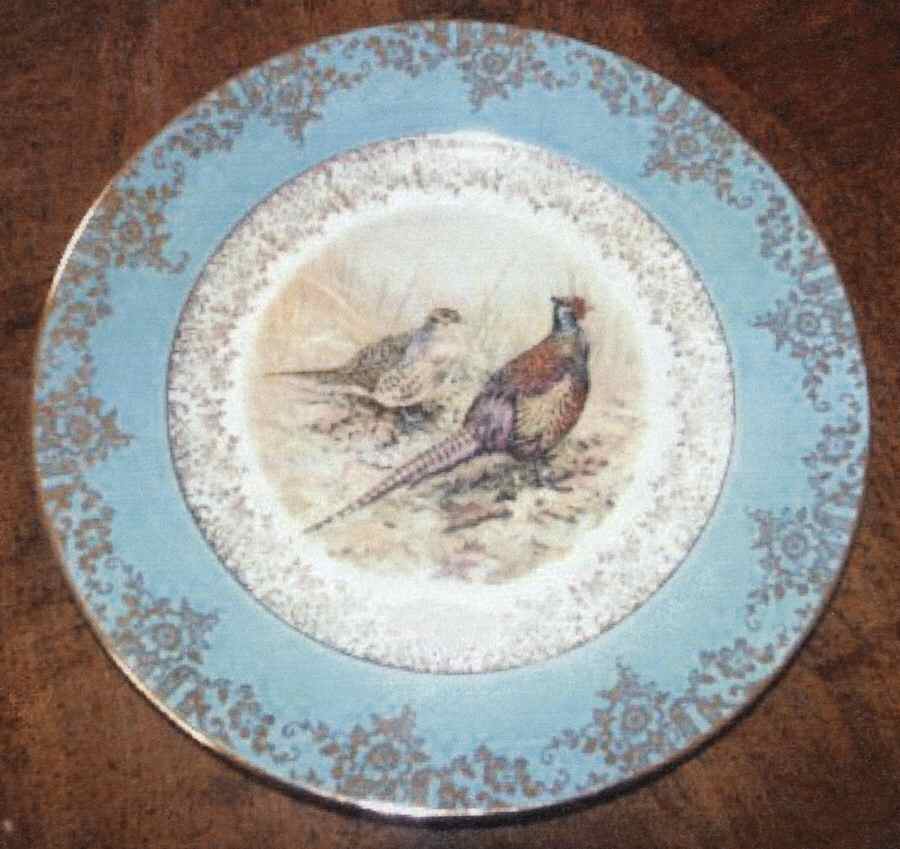 BAV371 Dinner Plate by Bavaria-1