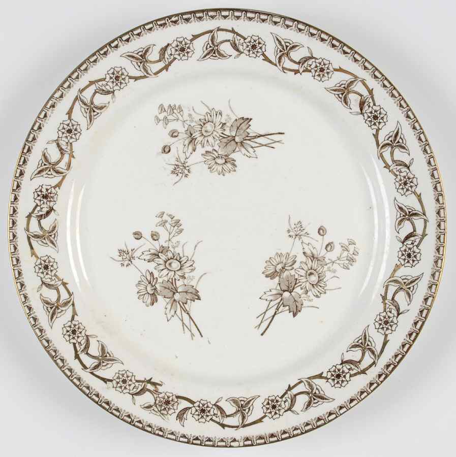 Yosemite Brown (Gold Trim) Dinner Plate by T & R Boote-1