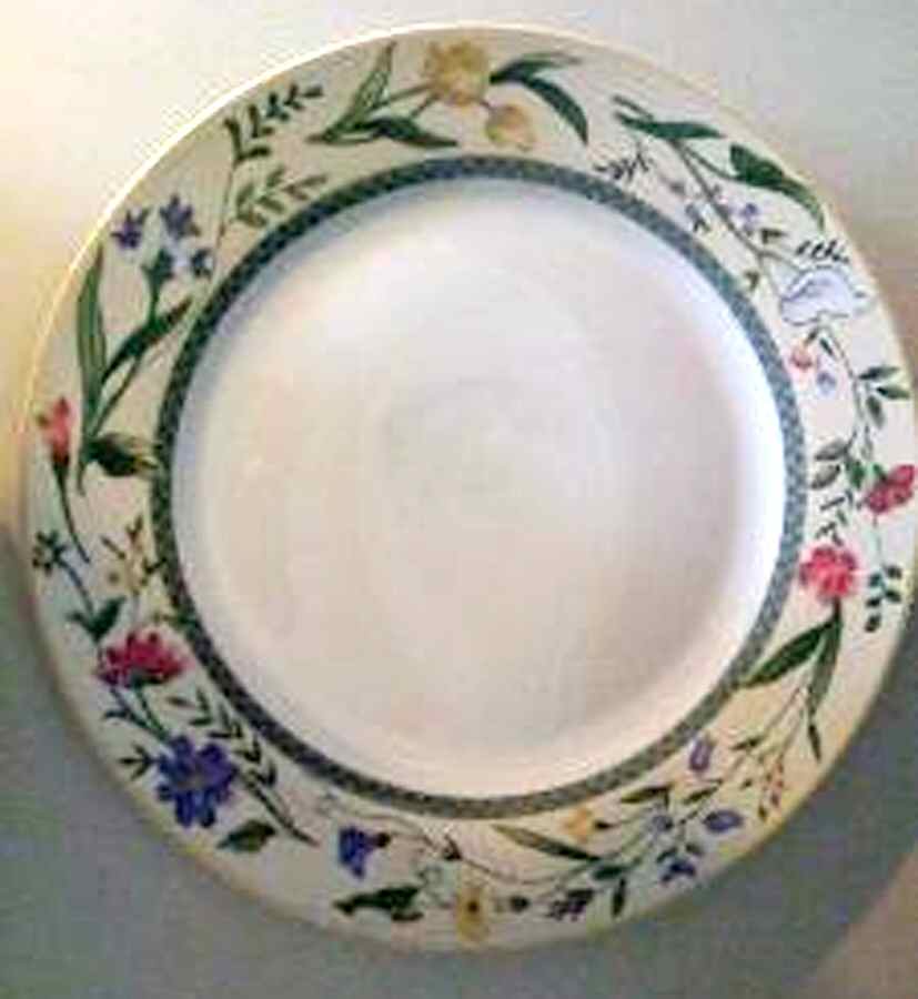 BTQ2 Dinner Plate by Brilliant Tableware-1