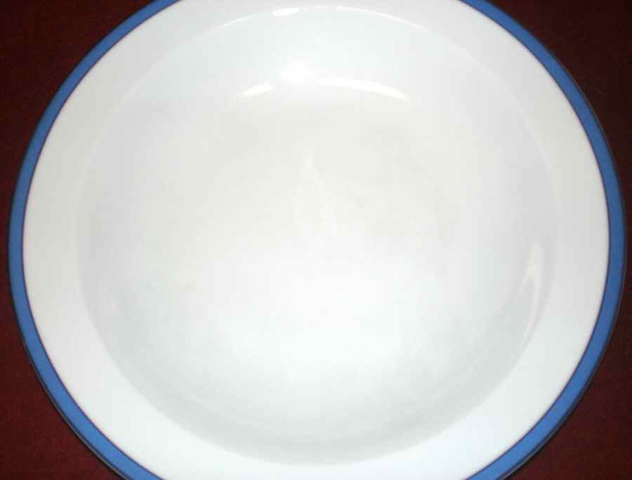 BER556 Dinner Plate by Bernardaud-1
