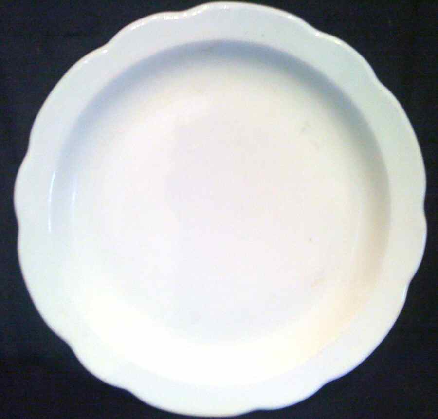 BUF149 Dinner Plate by Buffalo Pottery-1