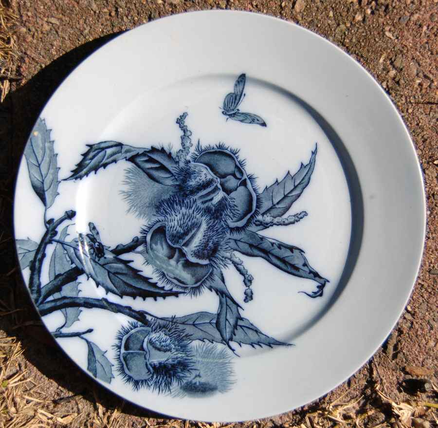 Pomona Dinner Plate by Brown, Westhead & Moore-1
