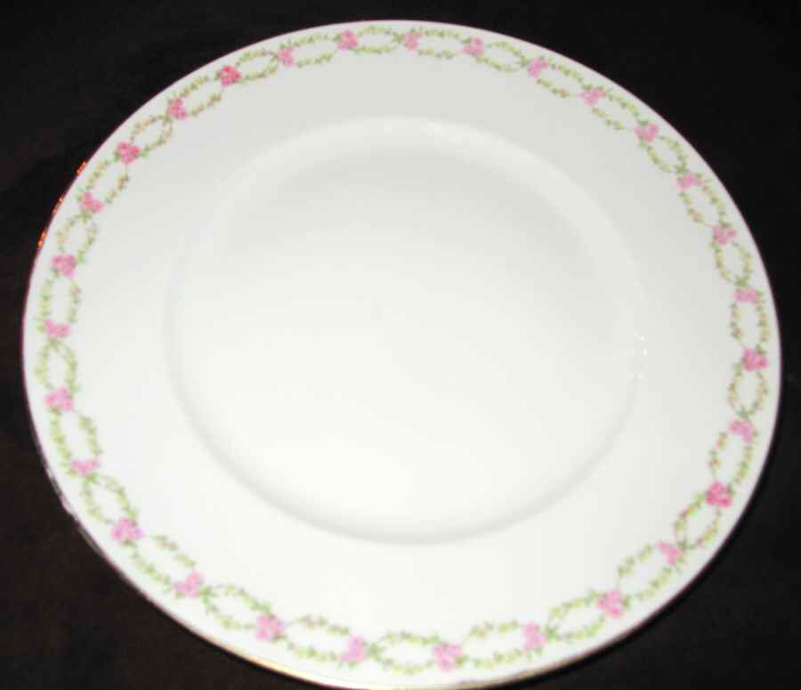 BER559 Dinner Plate by Bernardaud-1