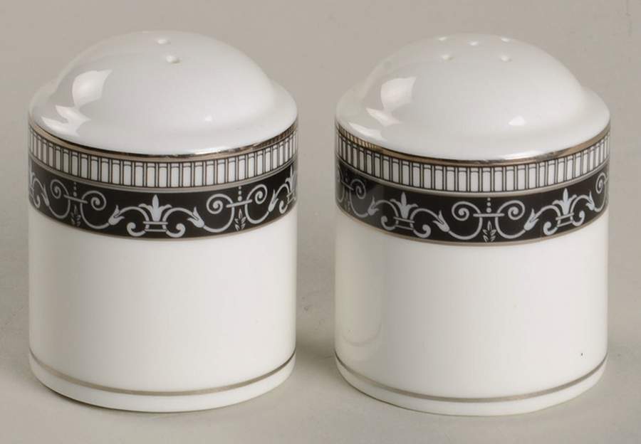 Holland Platinum Salt & Pepper Set by Biltmore for Your Home-1