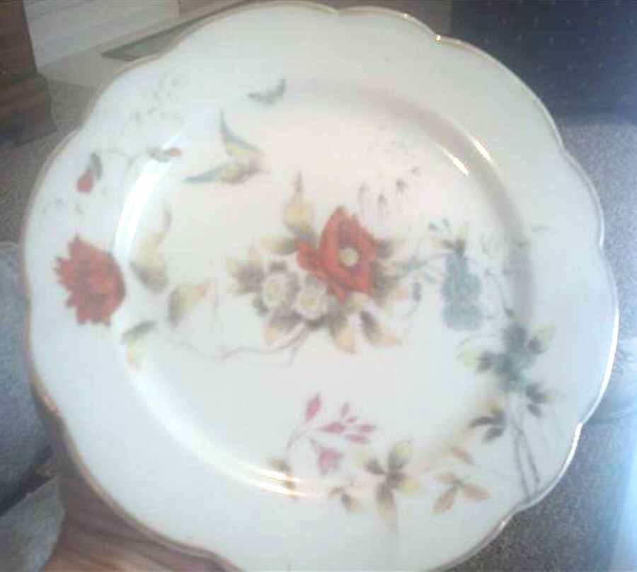 BSM14 Dinner Plate by B S M-1