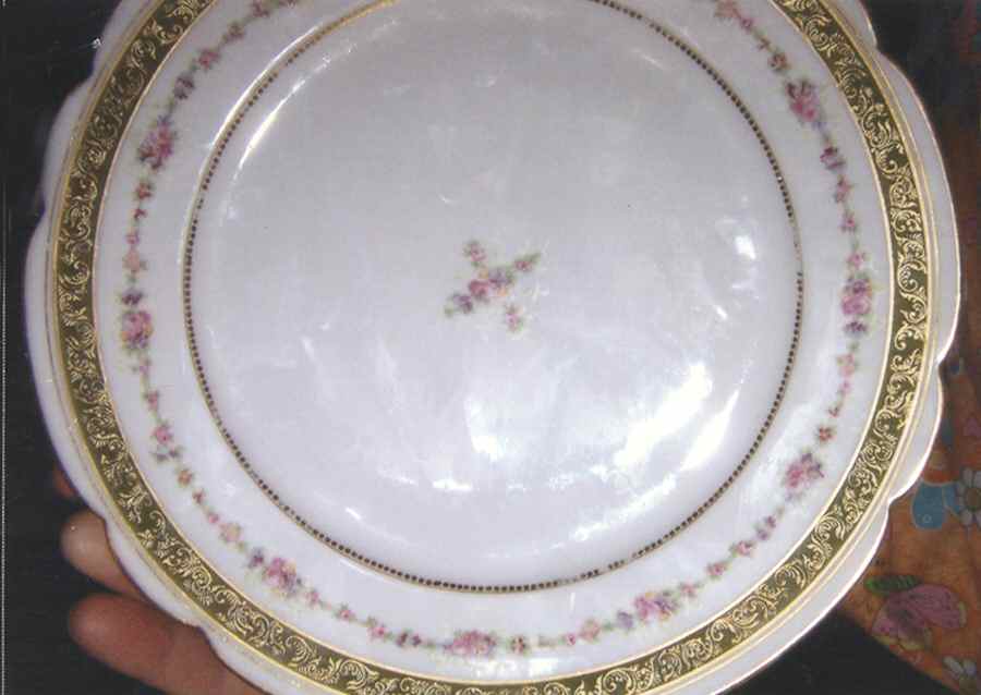 BWD657 Dinner Plate by Bawo & Dotter-1