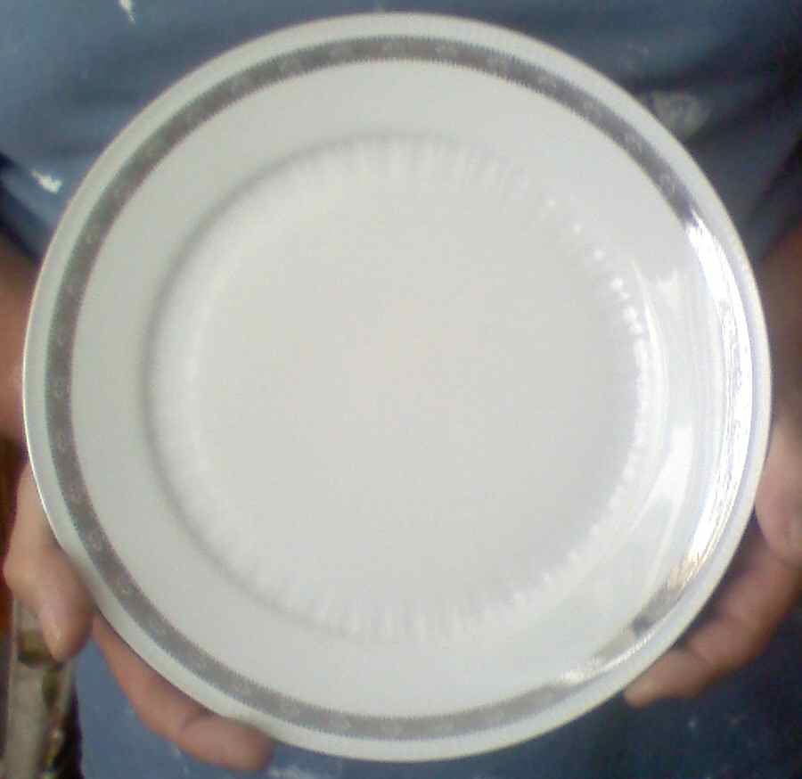 BTH231 Dinner Plate by Bareuther & Co-1