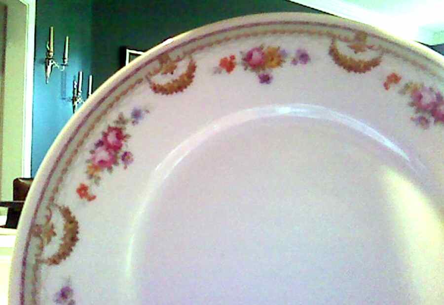BAW35 Dinner Plate by Bauscher Weiden-1