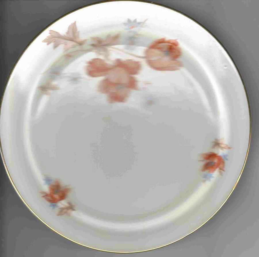 BAV391 Dinner Plate by Bavaria-1