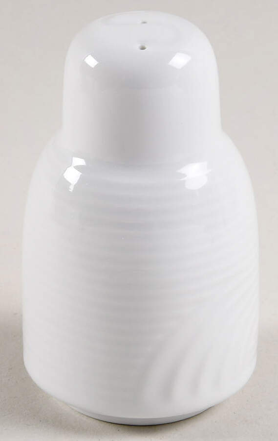 BAW36 Salt Shaker by Bauscher Weiden-1
