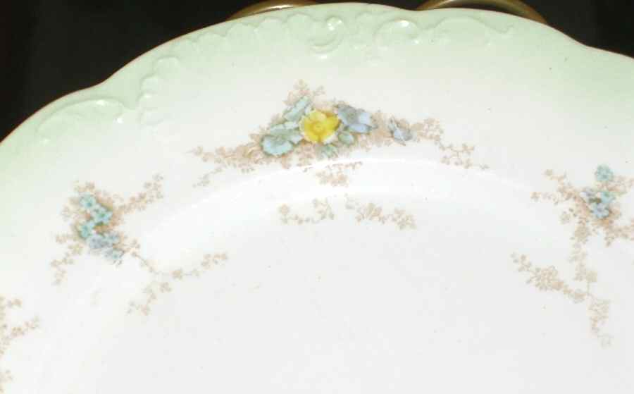 W619 Dinner Plate by Bishop & Stonier-1