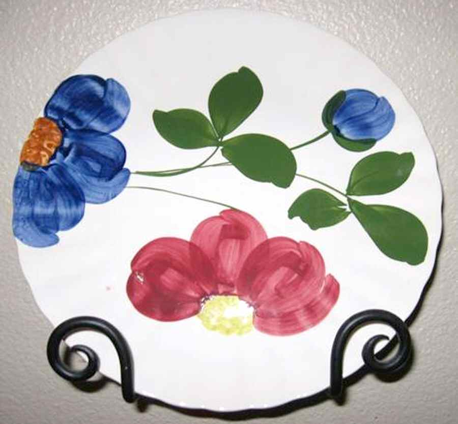 Show Off Dinner Plate by Blue Ridge Southern Pottery-1