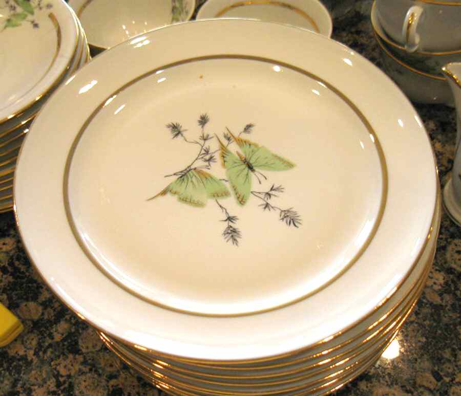 BYY5 Dinner Plate by Berry (France)-1