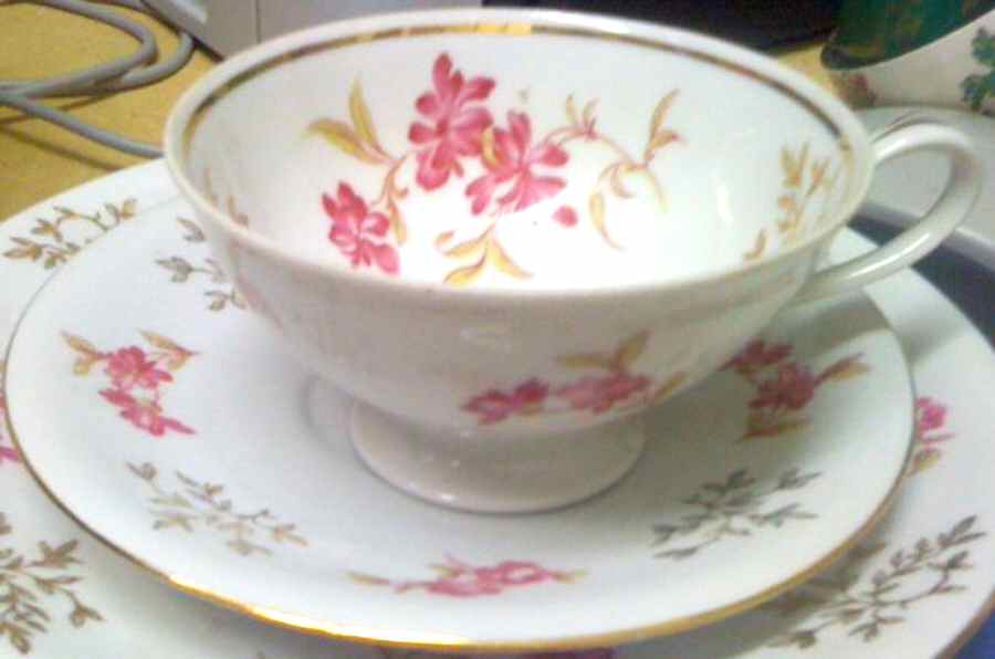 BTH243 Footed Cup & Saucer Set by Bareuther & Co-1