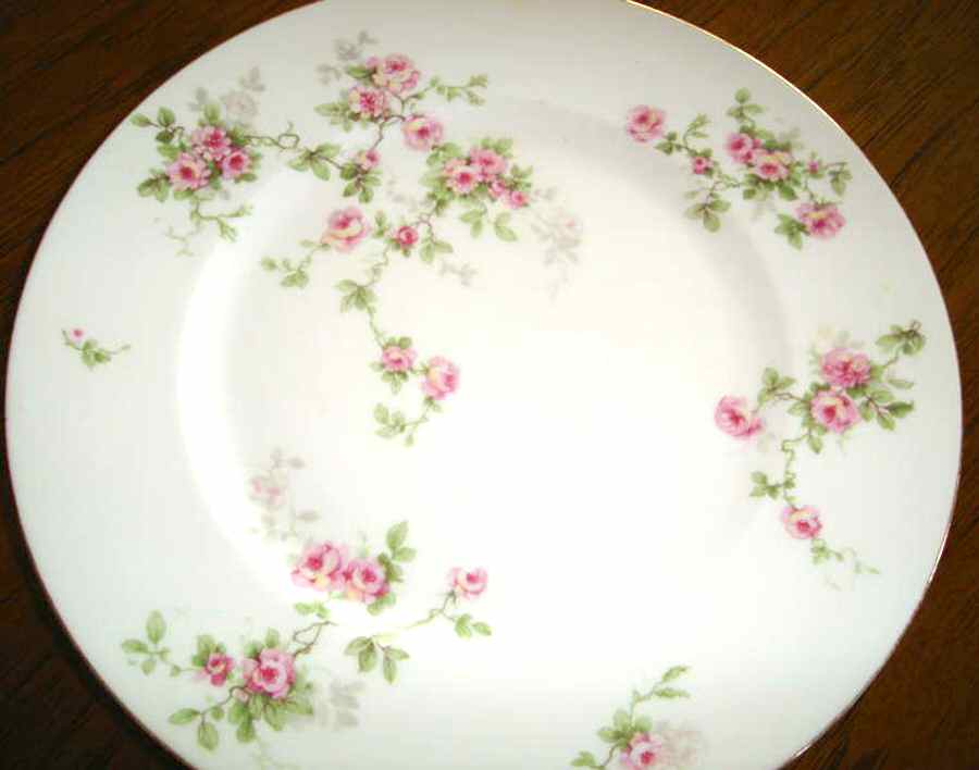 BER590 Dinner Plate by Bernardaud-1