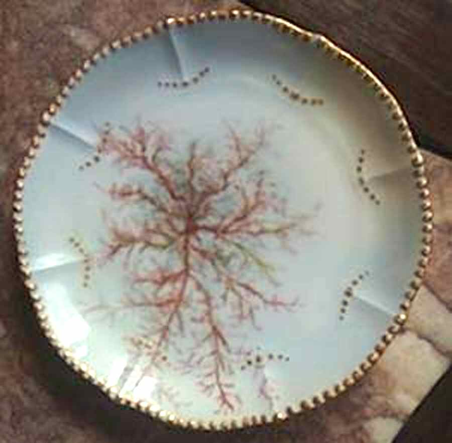BWD706 Bread & Butter Plate by Bawo & Dotter-1
