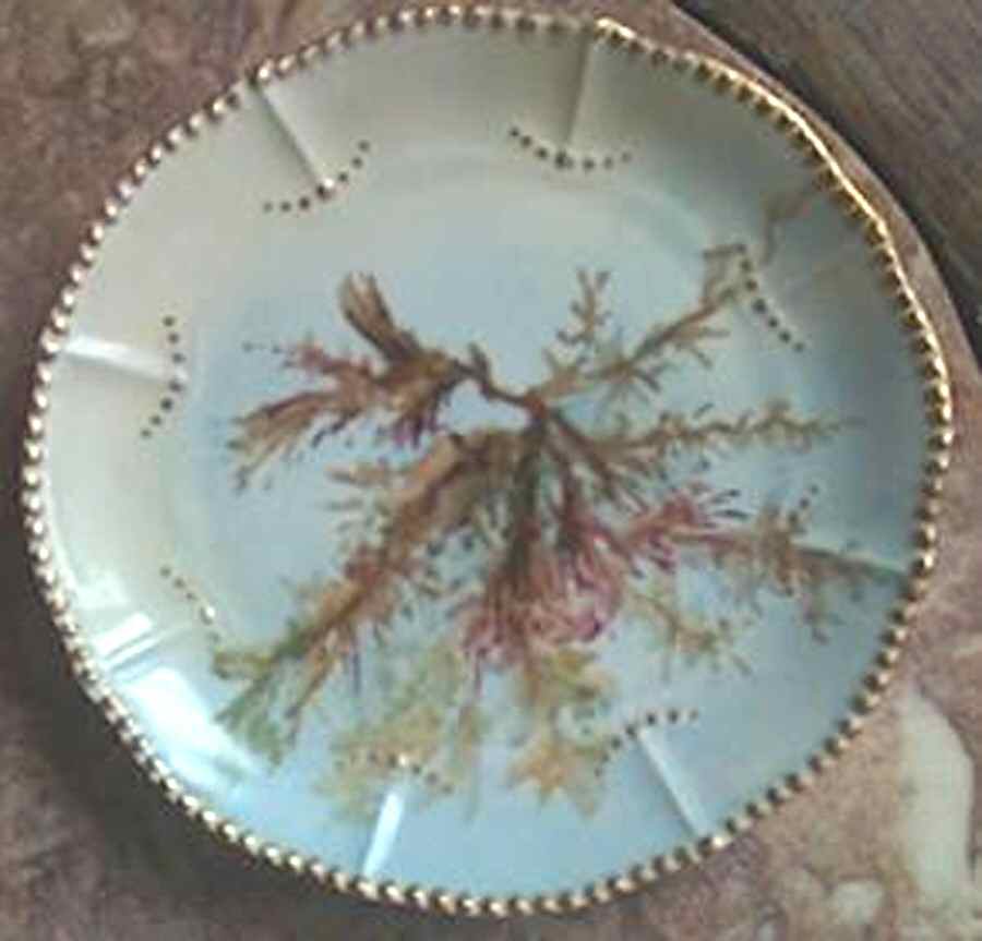 BWD706 Bread & Butter Plate by Bawo & Dotter-1